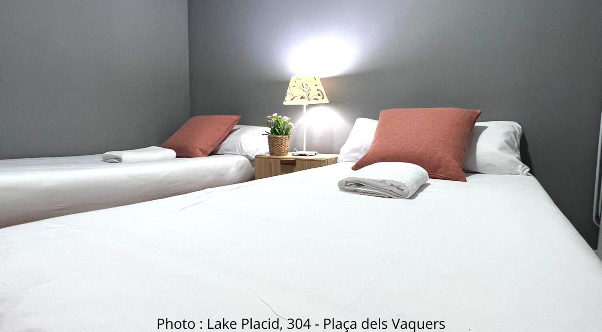 Ac Apartaments Centre Pas De La Casa Værelse billede