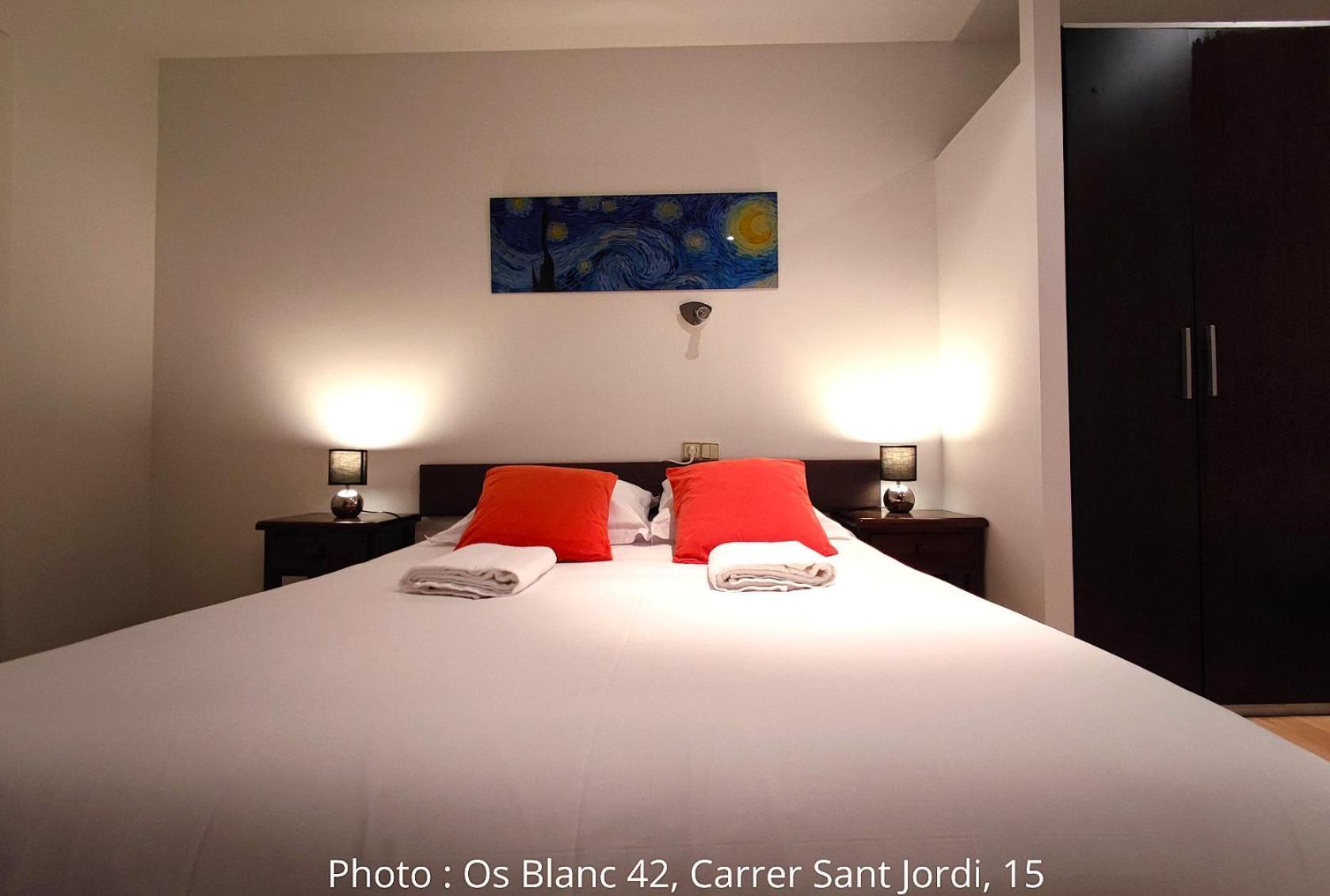 Ac Apartaments Centre Pas De La Casa Værelse billede