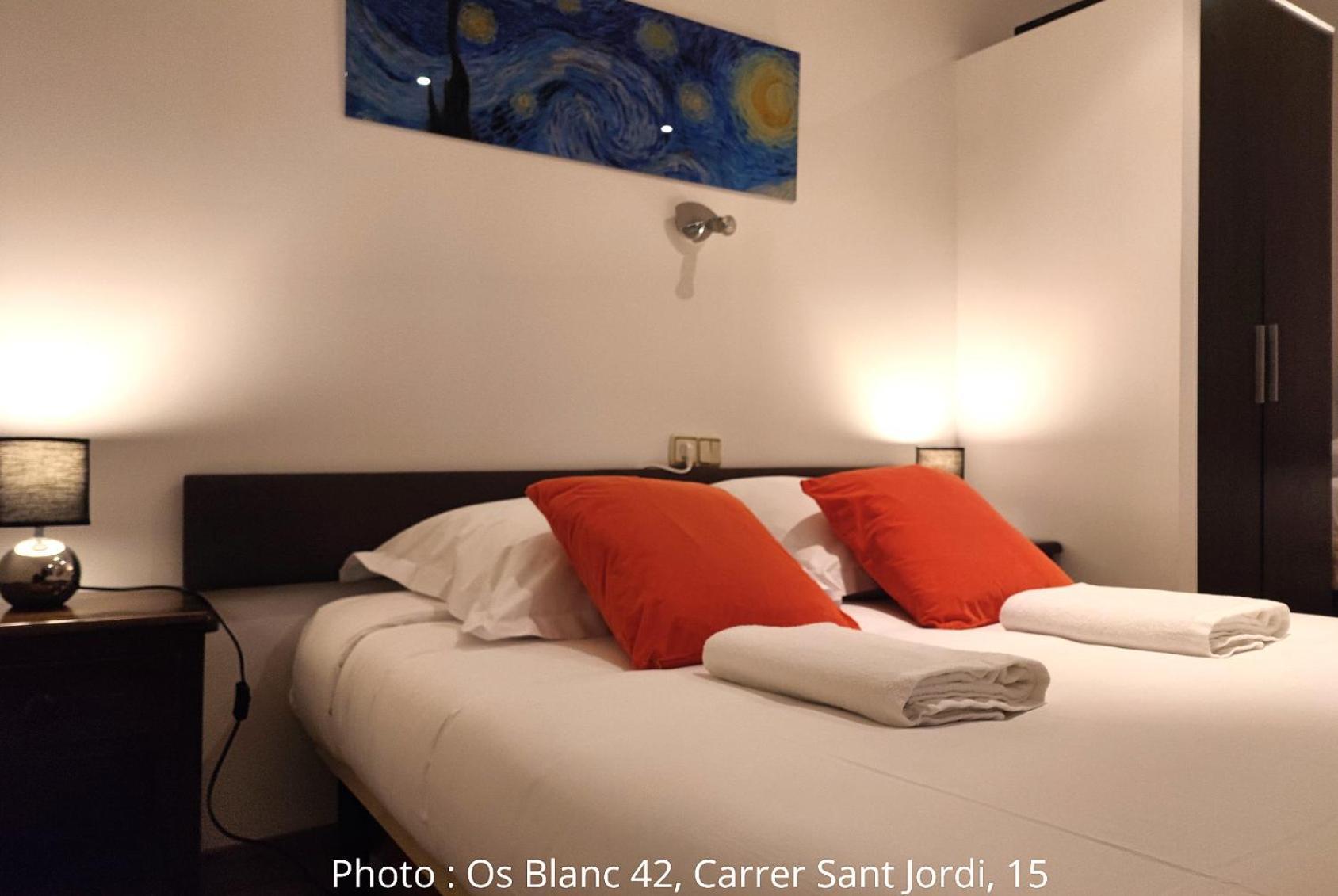 Ac Apartaments Centre Pas De La Casa Værelse billede